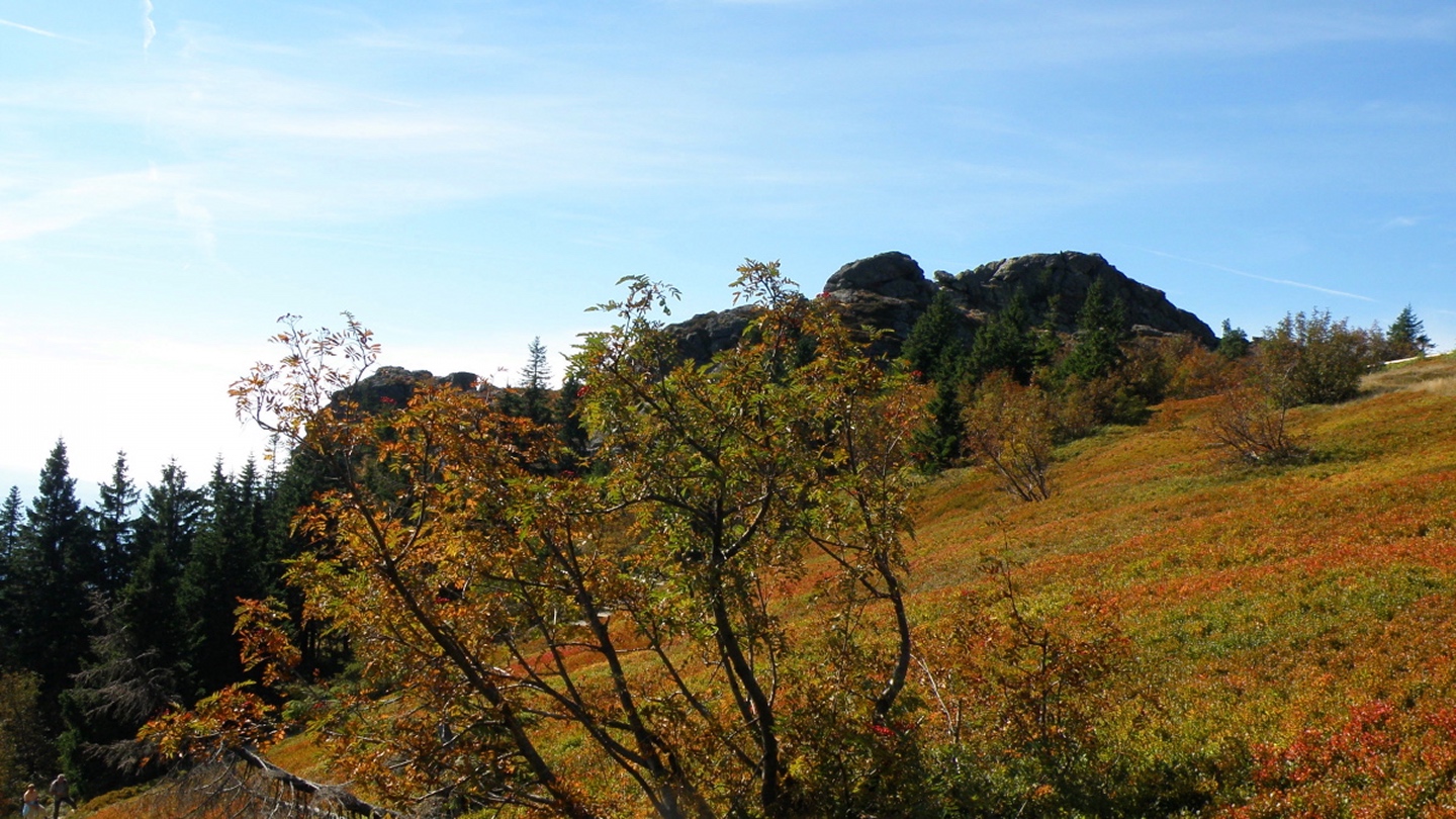 Herbstlicher Gipfelbereich